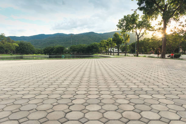 Best Driveway Repair Near Me  in Mount Morris, IL