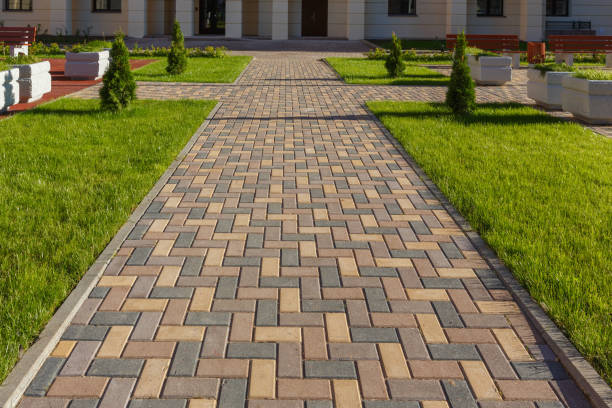 Best Commercial Driveway Pavers  in Mount Morris, IL